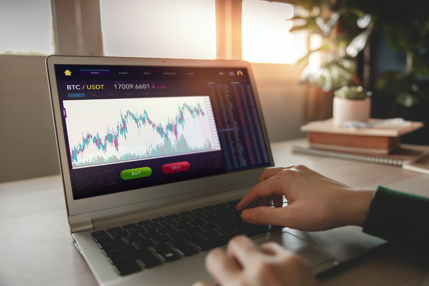 MT5 WebTrader